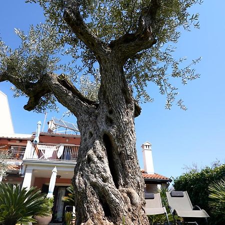 Apartments Palm View Rovinj Exterior foto